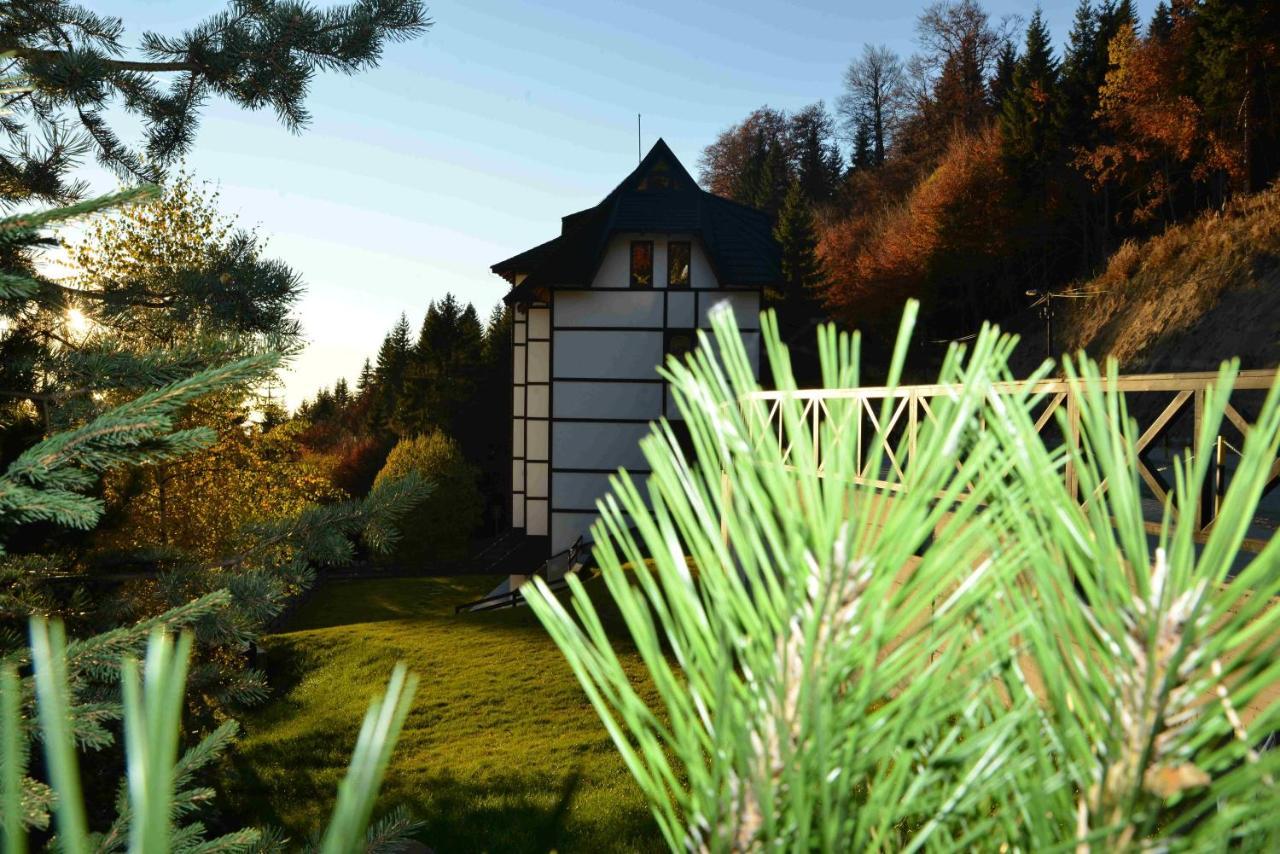 Vila Irina Kopaonik Exterior photo