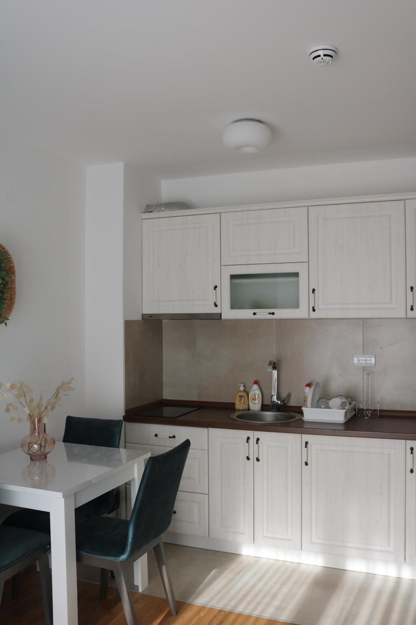 Vila Irina Kopaonik Room photo
